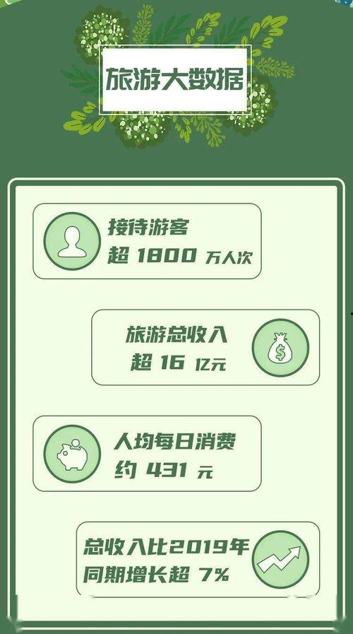 大硕新春爆料最新消息,揭秘娱乐圈最新动态,独家揭秘明星幕后故事